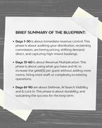 The 90 Day Profit Blueprint