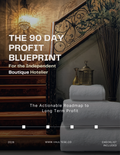 The 90 Day Profit Blueprint